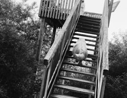 Swagis Heartbit - lässig scheitern