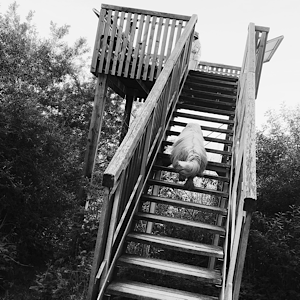 Swagis Heartbit - lässig scheitern