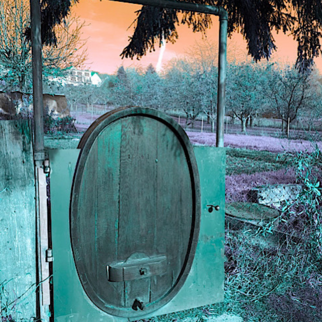 Swagis-Eyedrops-Verschlossen 5