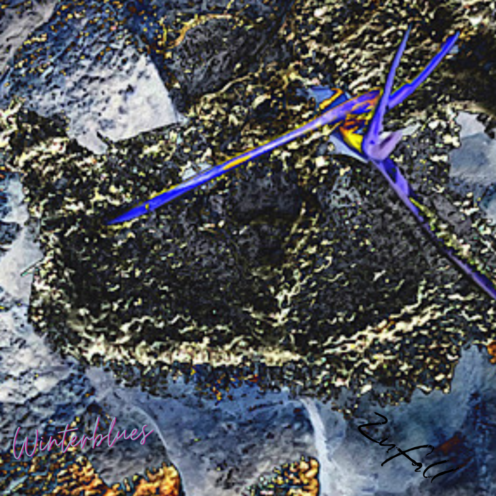 Swagis-Eyedrops-Frost 11