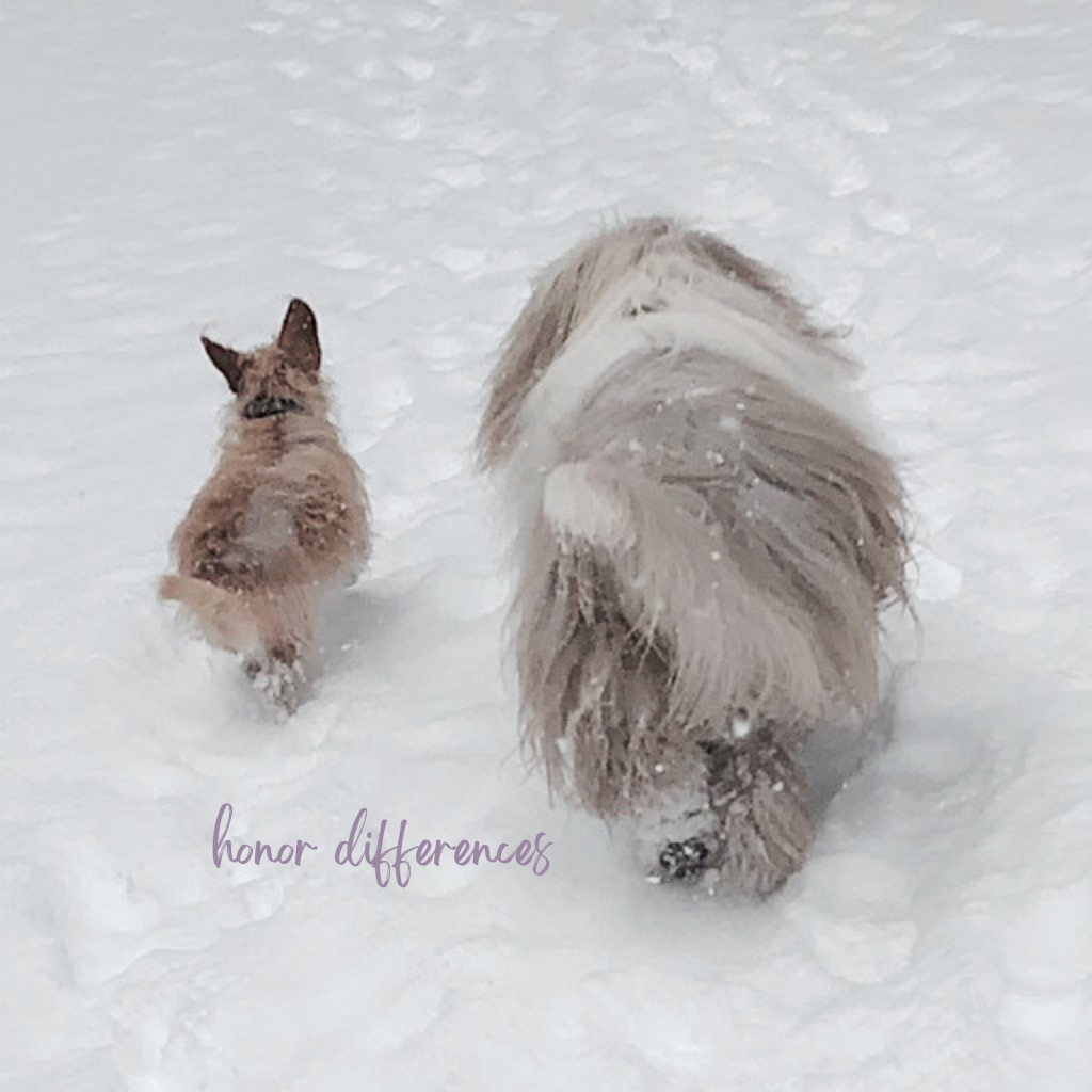 Swagis-Eyedrops-Paar 7