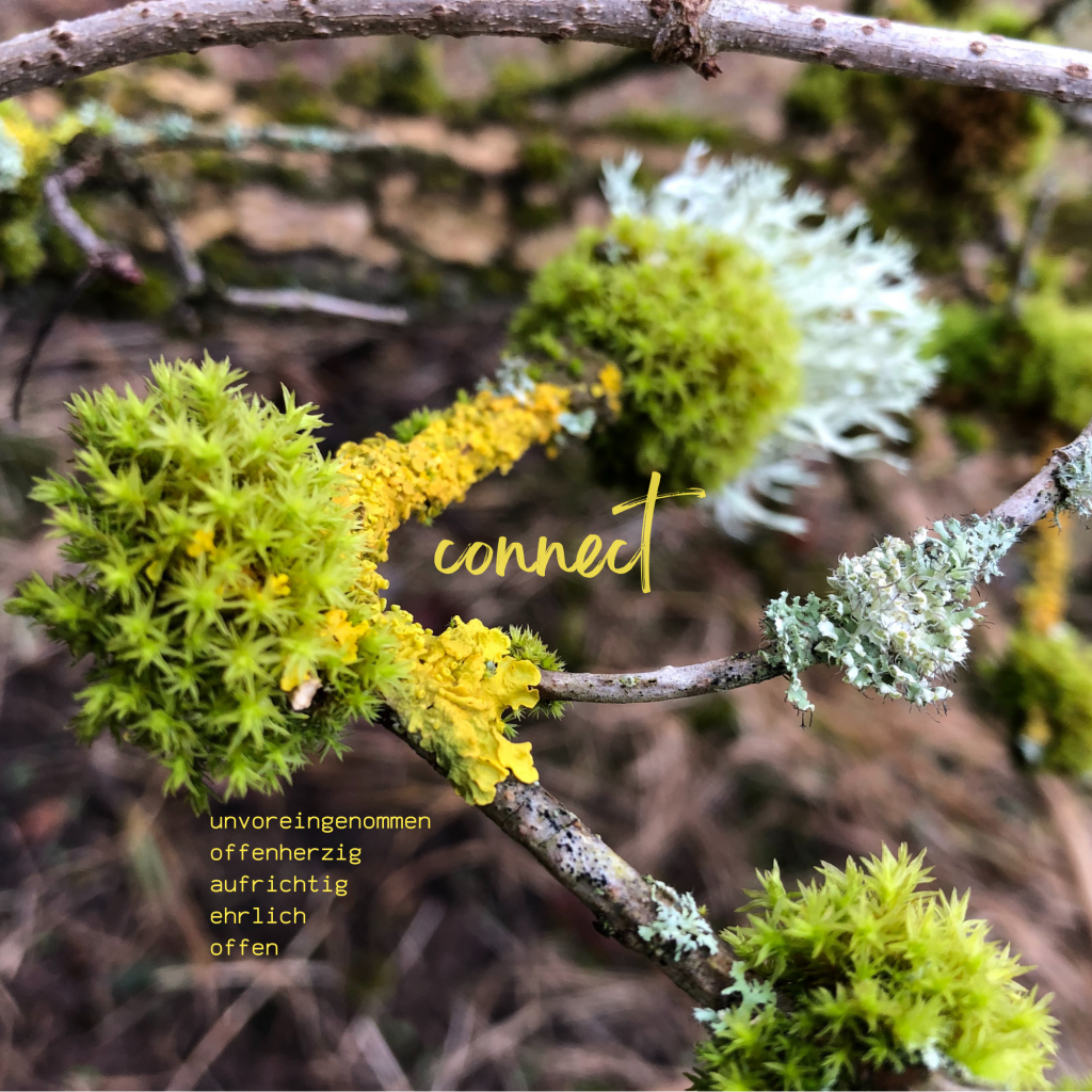 Swagis-Eyedrops-organisch 2