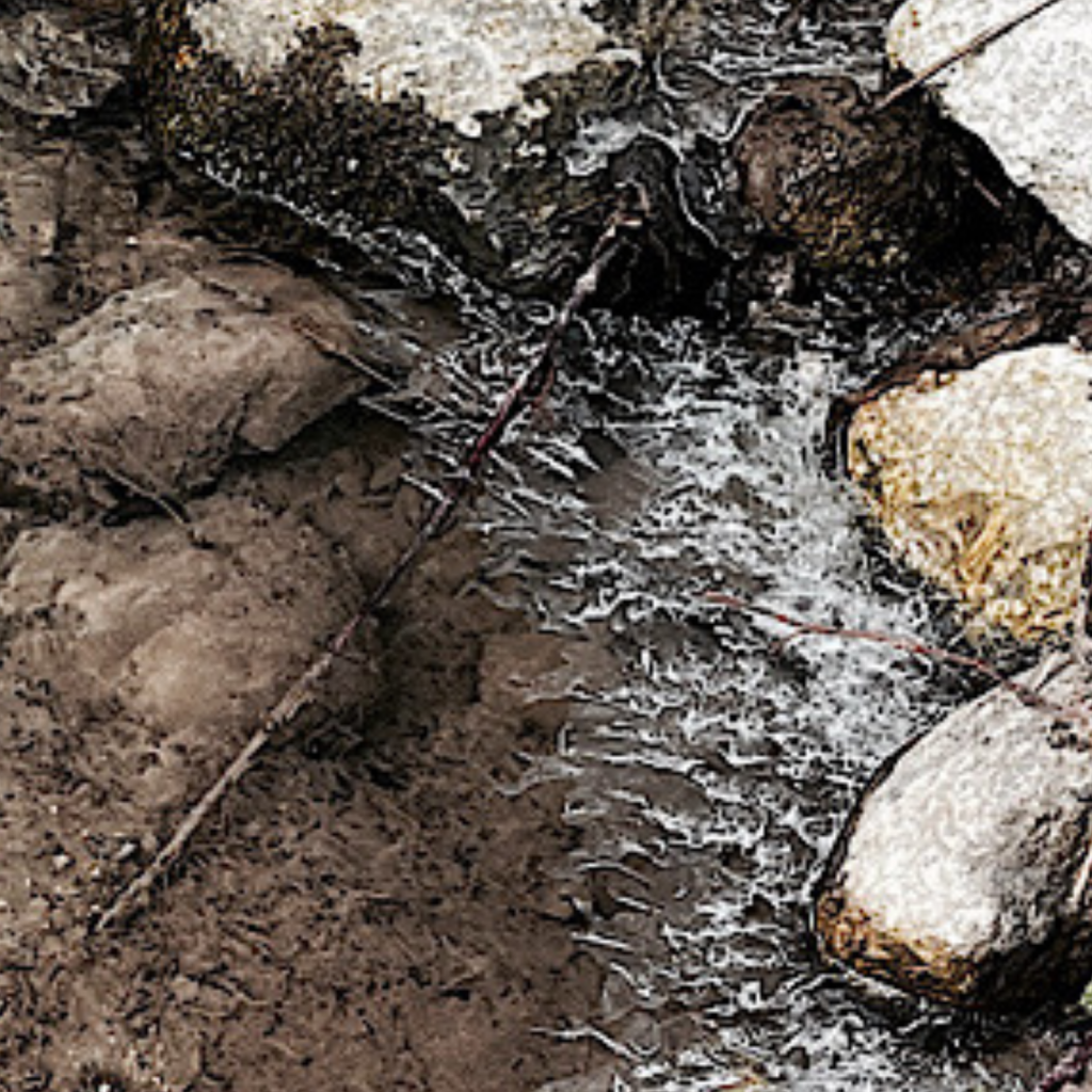 Swagis-Eyedrops-organisch 1