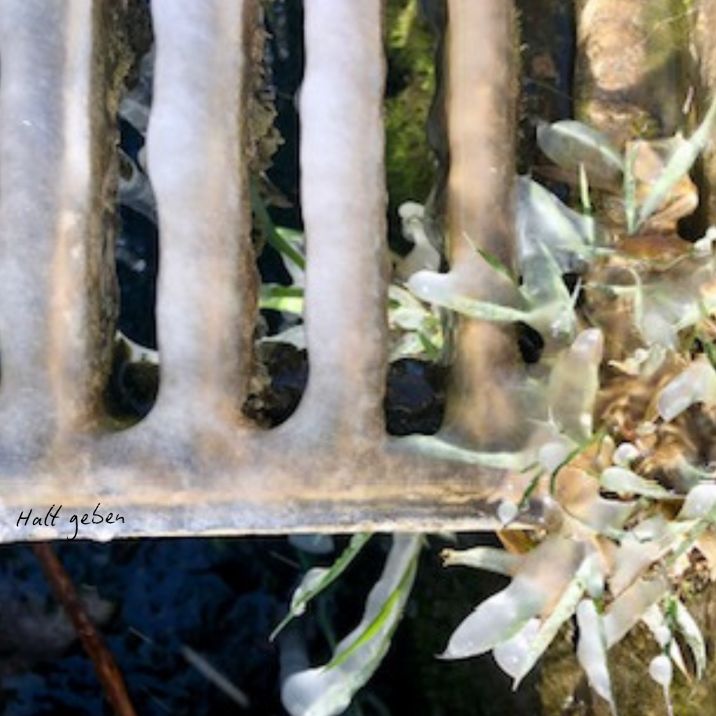 Swagis-Eyedrops-Frost 9