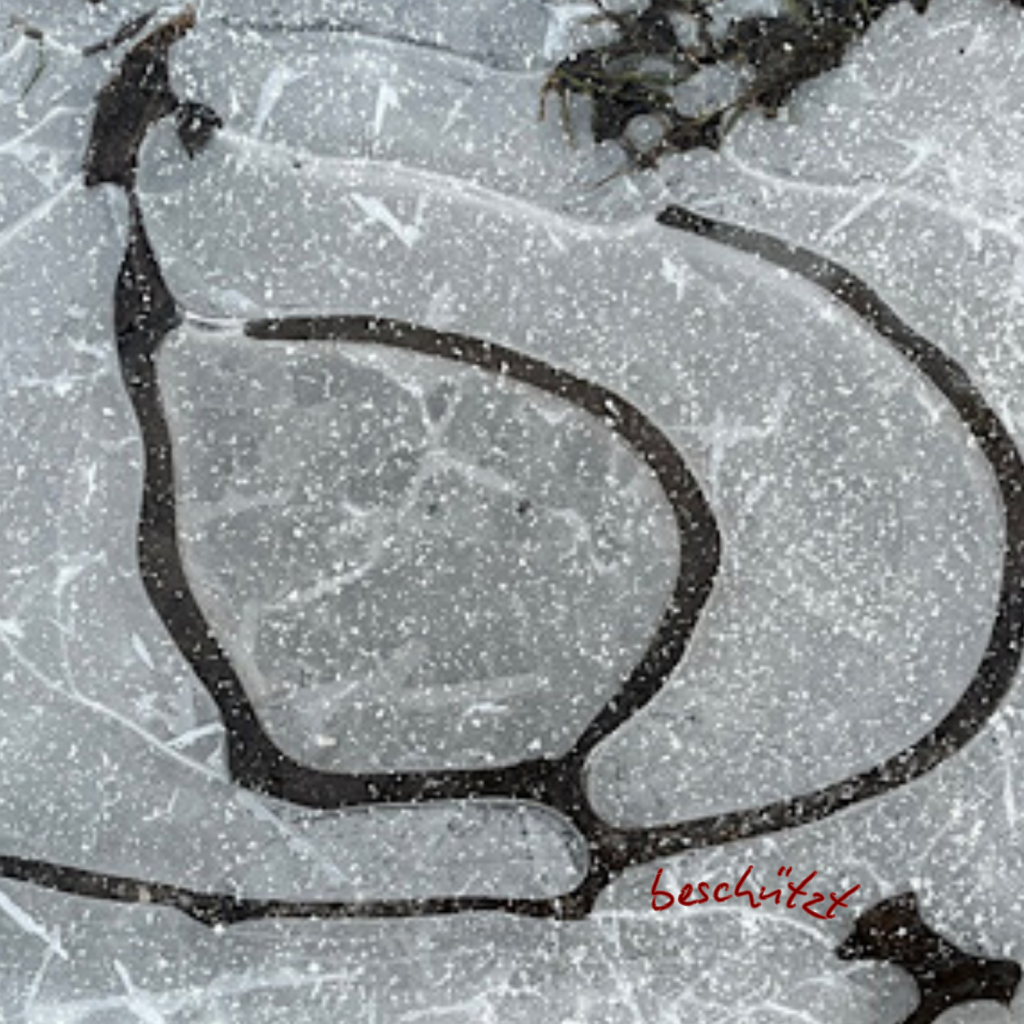 Swagis-Eyedrops-Frost 6