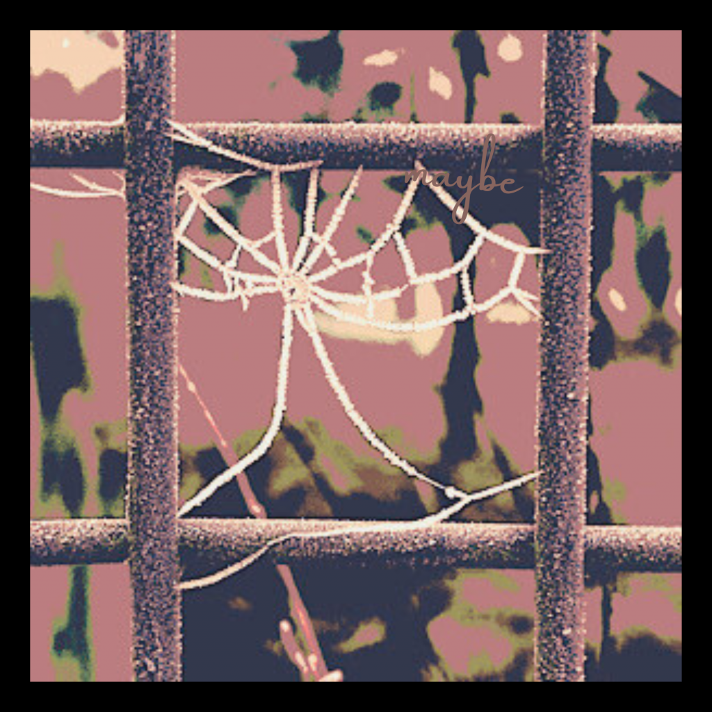 Swagis-eyedrops-Paar 10