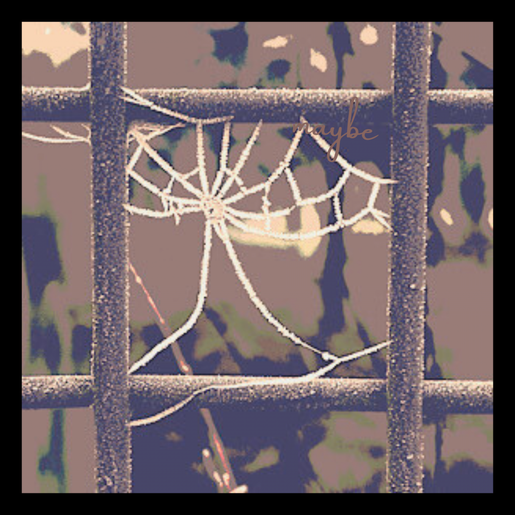 Swagis-eyedrops-Paar 10