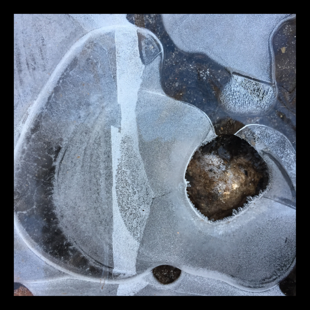 Swagis-Eyedrops-Paar 3