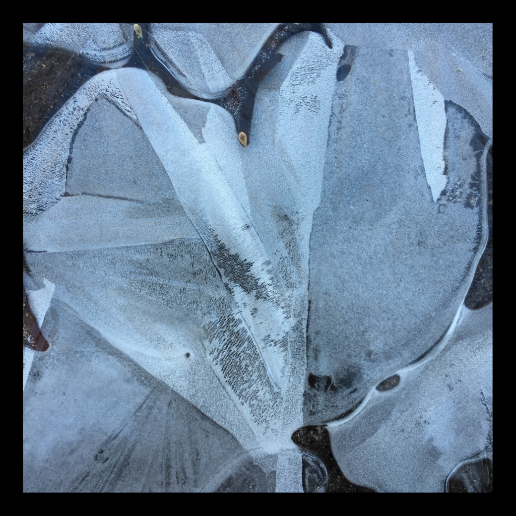 Swagis-Eyedrops-Paar 3