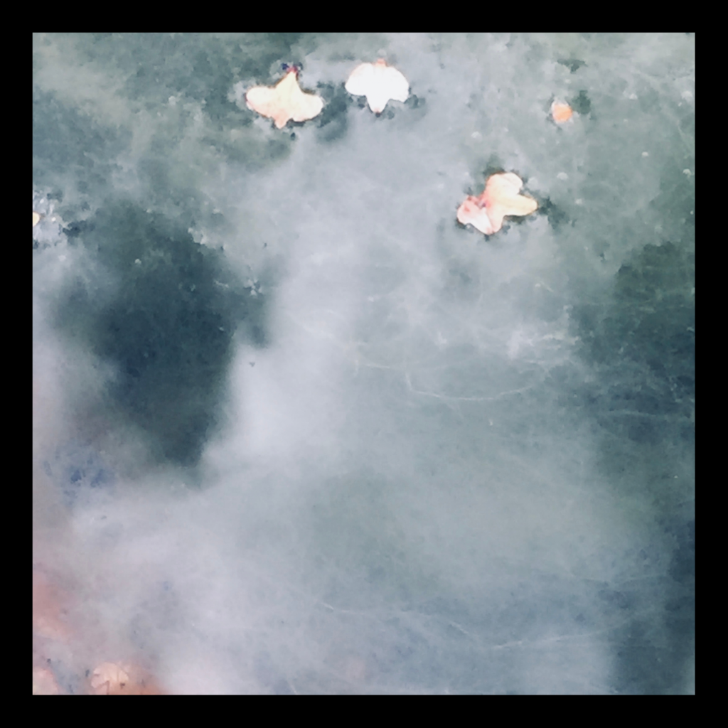 Swagis-Eyedrops-Paar 5