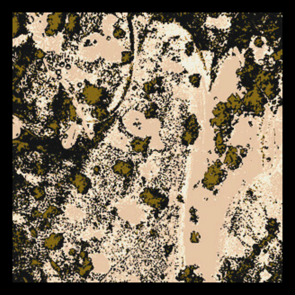 Swagis-eyedrops-Paar 9