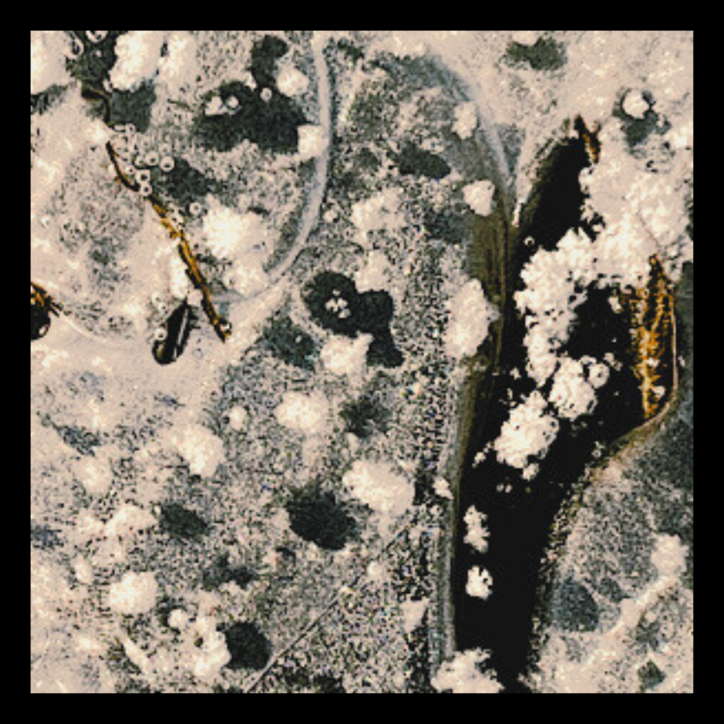 Swagis-eyedrops-Paar 9