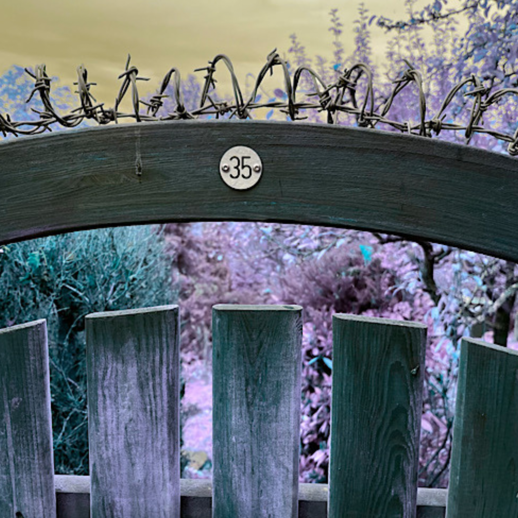 Swagis-Eyedrops-Verschlossen 3