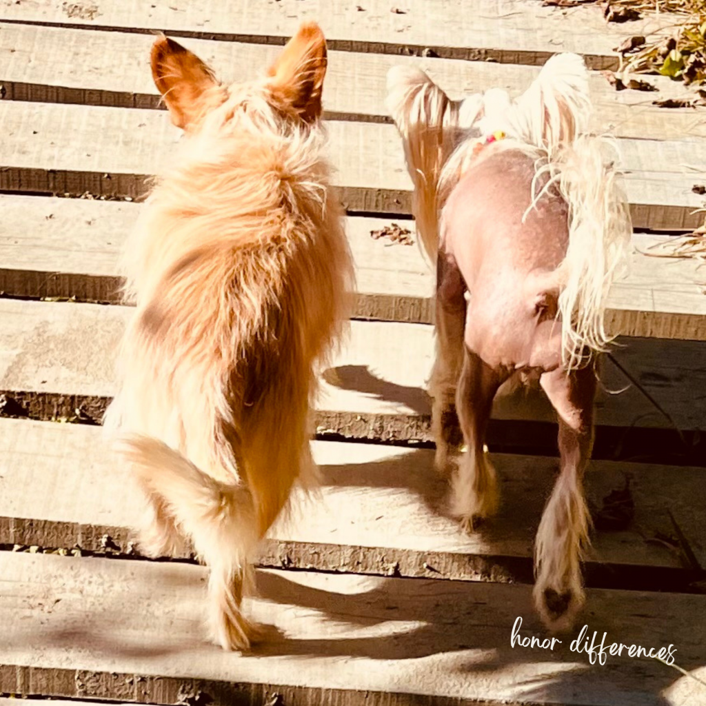 Swagis-Eyedrops-Paar 7