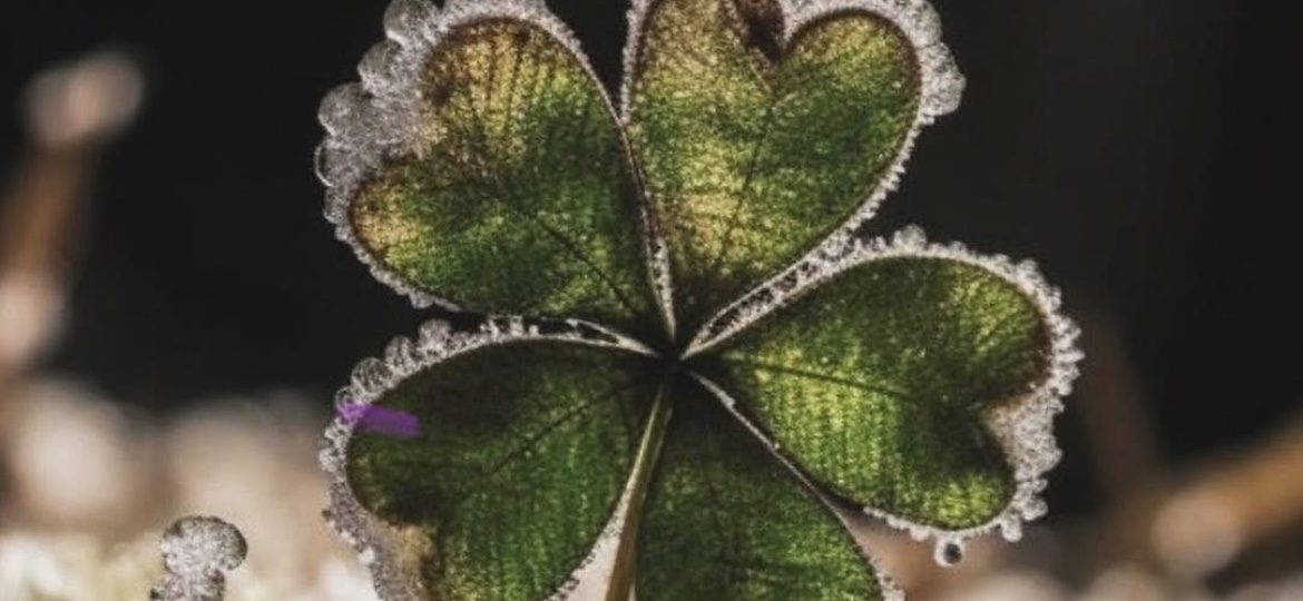 Swagis-heartbit-Vom Glück unglücklich zu sein